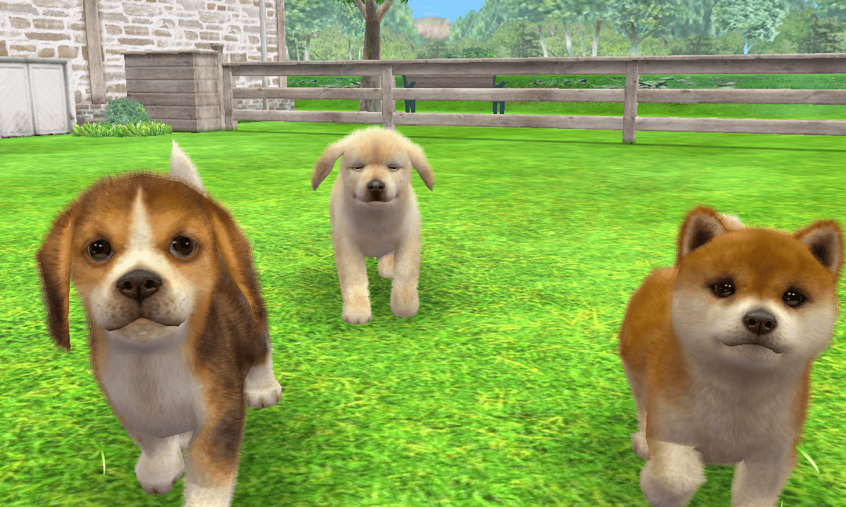 [3DS]任天猫狗 柴犬与新伙伴[港版][官方繁中](无需跨区)