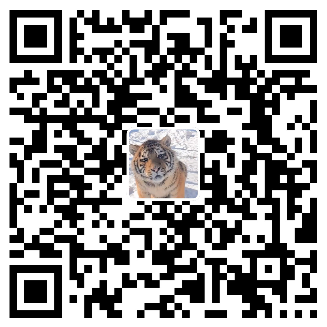 支付宝赞赏码